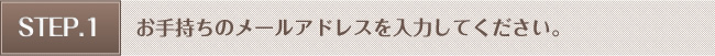 お手持ちのメールアドレスを入力して下さい