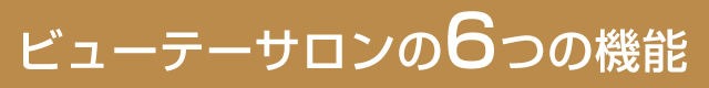 ビューティヘアの6つの機能