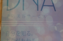 DNAを調べてみました!