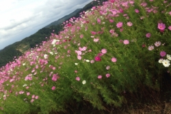 富山の見所♡