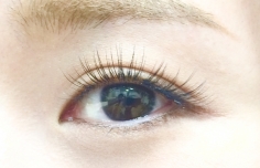 lite...eyelash salon