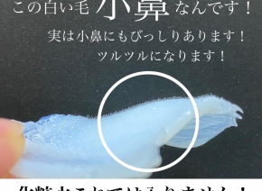 フェイシャルwax