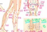 倦怠感も、目の奥が「ズーンと重い」のも、痩せないのも…気血水の巡りを...