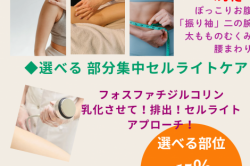 こびりつき「セルライト」は、溶かして流して!痩せる!