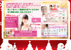 全力でありがとうを伝える!美サンタ企画