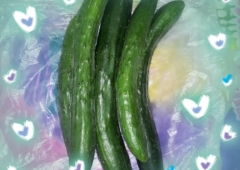 世界一カロリーのない野菜♡♡♡