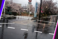 食べ合わせのワザ♡♡