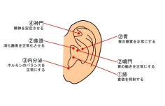 スリムコントロールハート