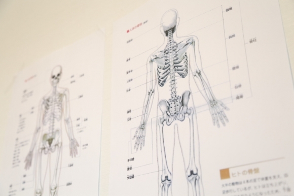 肩、腰が痛い、体がだるい、など お体の不調をマッサージ感覚で整えます。