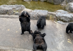 奥飛騨クマ牧場