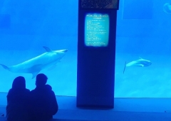 名古屋港水族館へ(^^)/