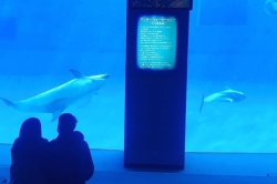 名古屋港水族館へ(^^)/