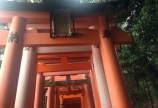 京都旅行♪①