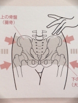 骨盤調整